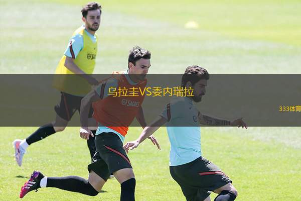 乌拉圭VS委内瑞拉