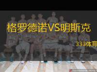 格罗德诺VS明斯克