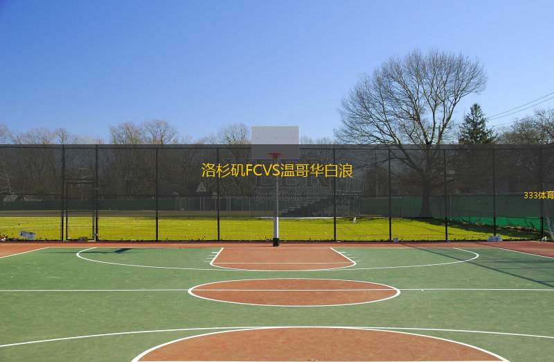 洛杉矶FCVS温哥华白浪