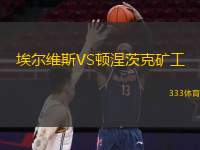 埃尔维斯VS顿涅茨克矿工