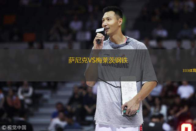 萨尼克VS梅莱茨钢铁