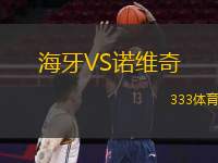 海牙VS诺维奇