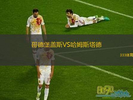 哥德堡盖斯VS哈姆斯塔德