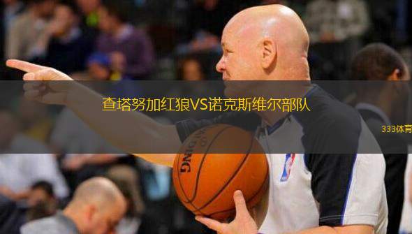 查塔努加红狼VS诺克斯维尔部队