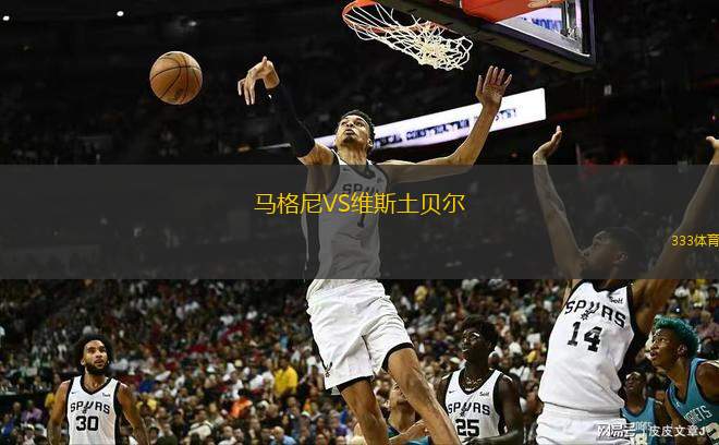 马格尼VS维斯土贝尔