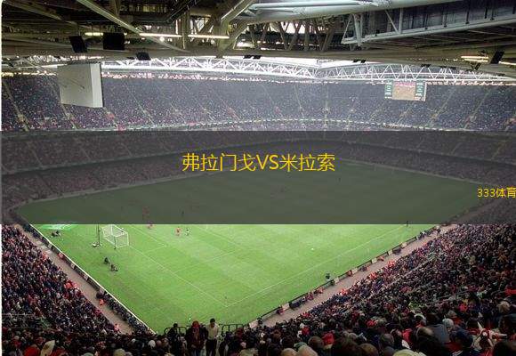 弗拉门戈VS米拉索