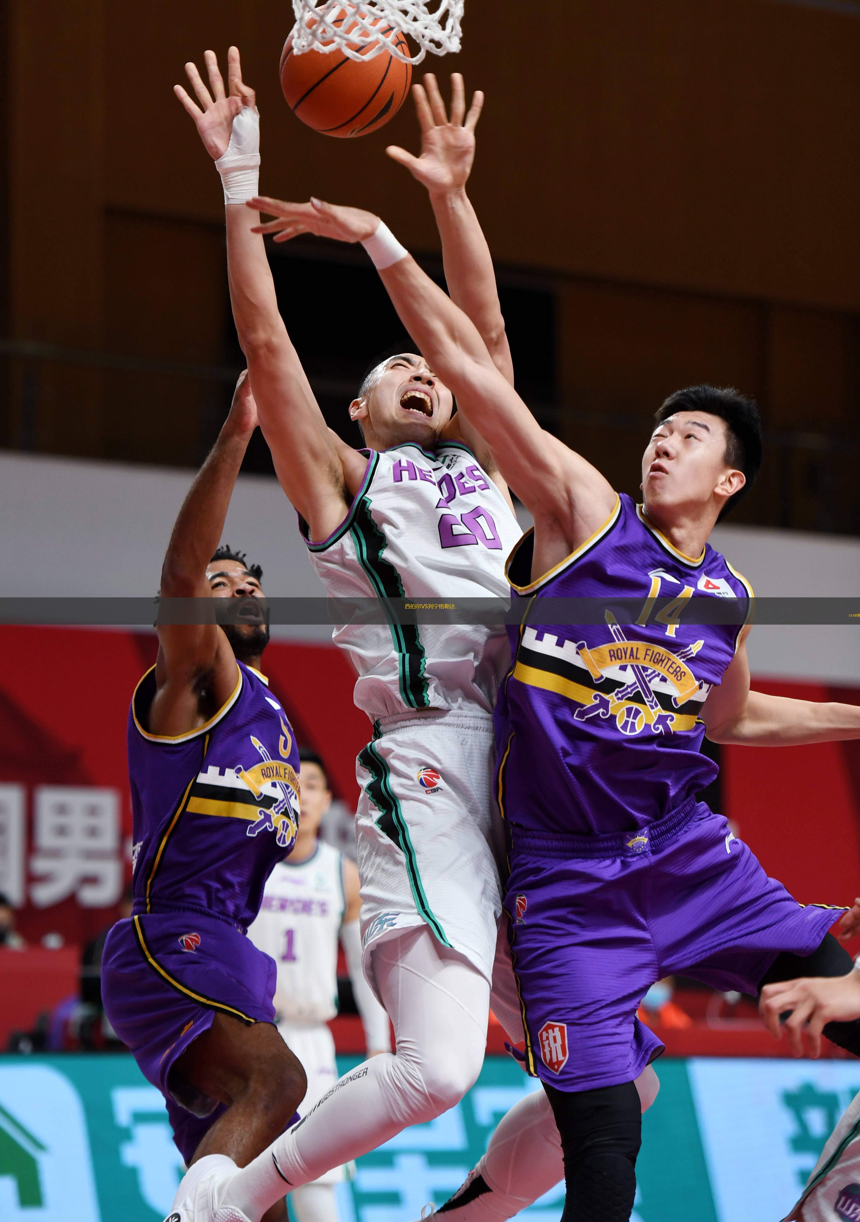 西伯尔VS列宁格勒达