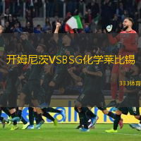开姆尼茨VSBSG化学莱比锡