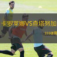 卡罗莱娜VS查塔努加