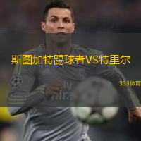 斯图加特踢球者VS特里尔