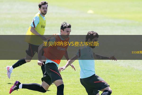 圣贝尔纳多VS费古埃伦斯