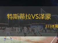特斯蒂拉VS泽蒙