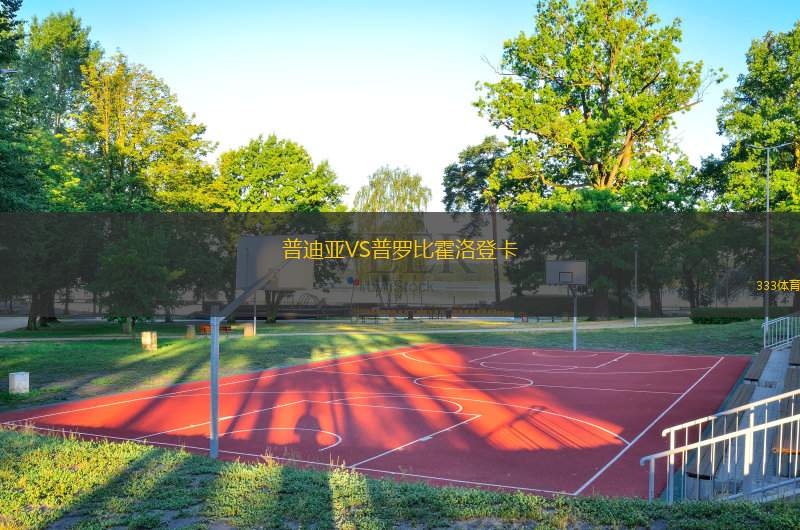 普迪亚VS普罗比霍洛登卡