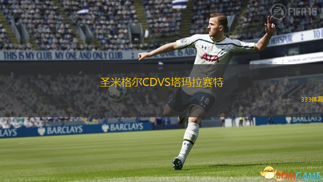 圣米格尔CDVS塔玛拉赛特