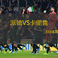 派德VS卡里鲁