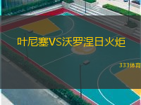 叶尼塞VS沃罗涅日火炬