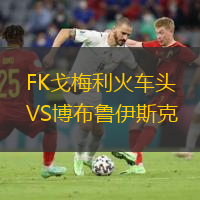 FK戈梅利火车头VS博布鲁伊斯克