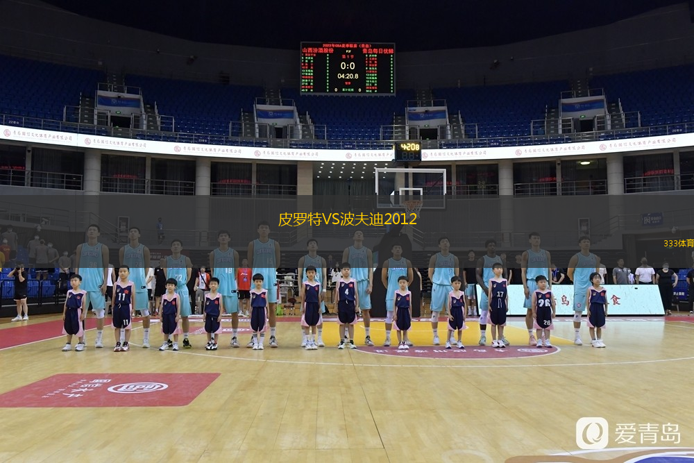 皮罗特VS波夫迪2012