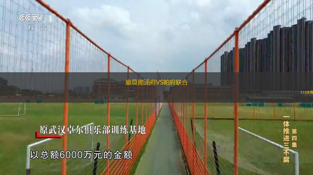 廊莫那浦府VS帕府联合