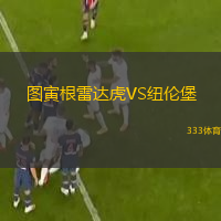 图寅根雷达虎VS纽伦堡