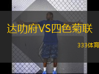 达叻府VS四色菊联