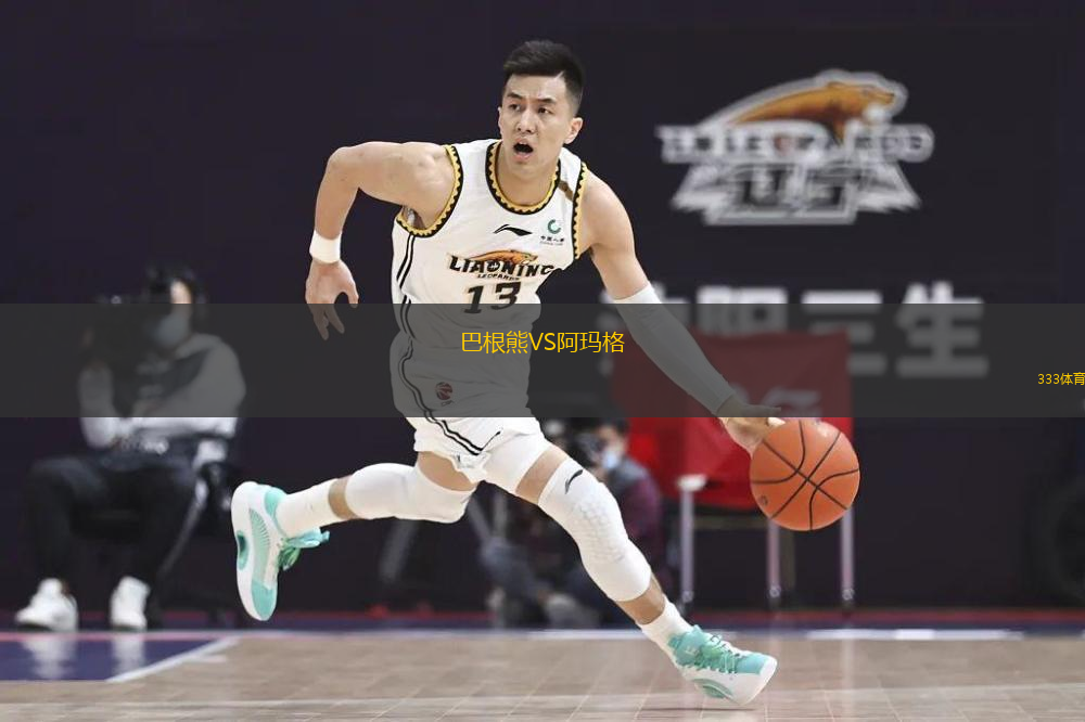 巴根熊VS阿玛格