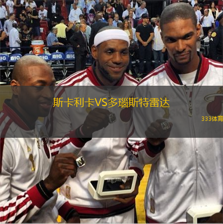 斯卡利卡VS多瑙斯特雷达