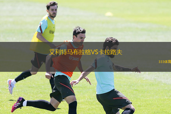 艾利特马布拉格VS卡拉路夫