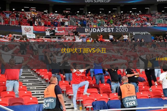伏伊伏丁那VS小丑