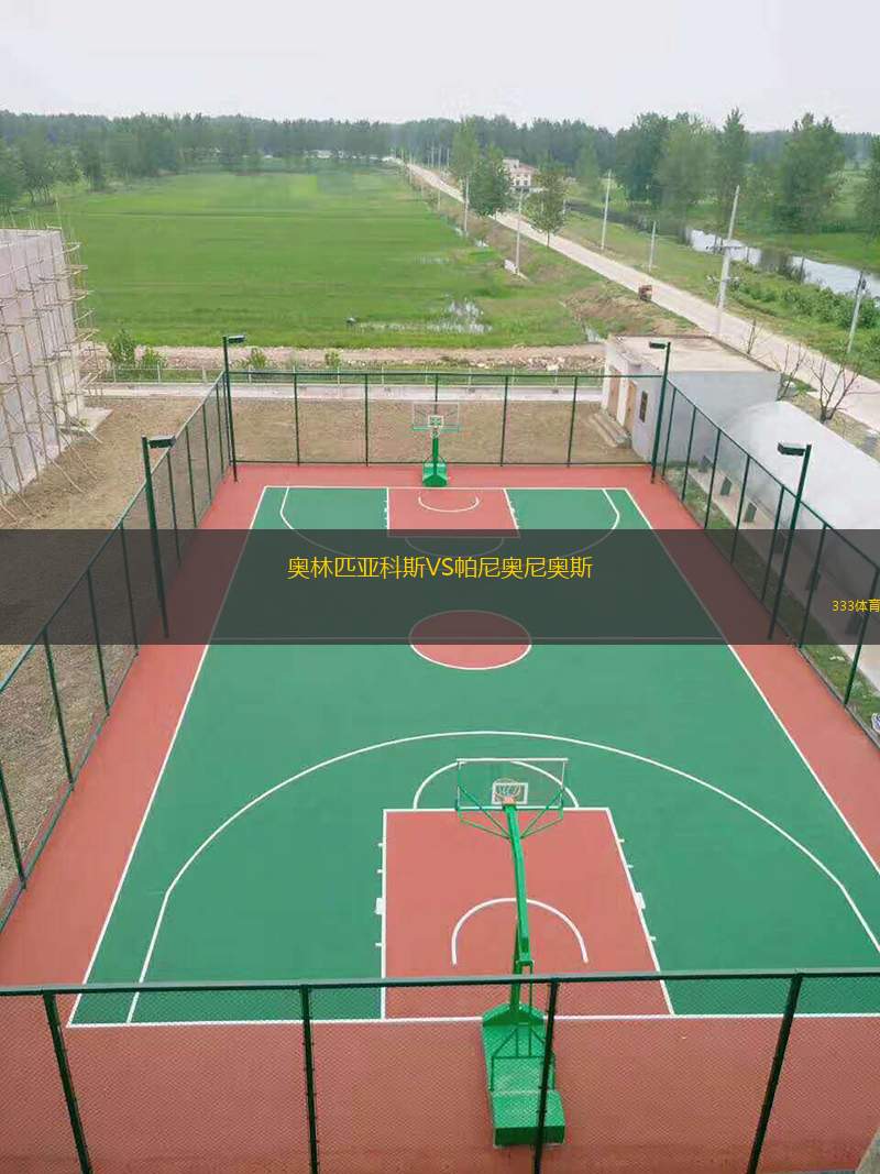 奥林匹亚科斯VS帕尼奥尼奥斯