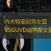 内夫特亚尼克女篮VSGUVD迪纳摩女篮
