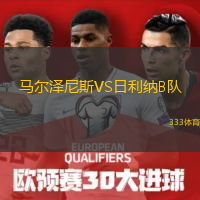 马尔泽尼斯VS日利纳B队
