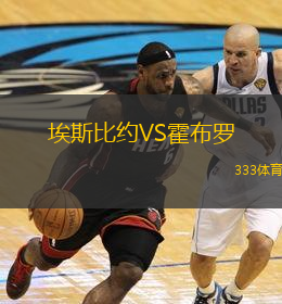 埃斯比约VS霍布罗